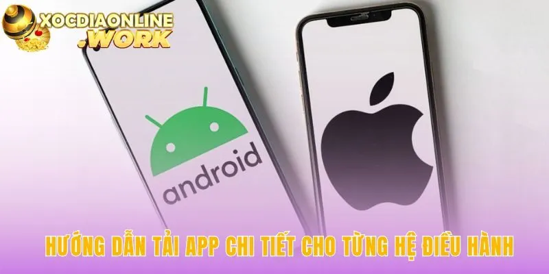 Hướng dẫn tải app giải thích lộ trình riêng cho từng thiết bị