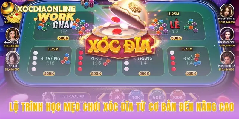 Lộ trình học mẹo chơi xóc đĩa dẫn dắt bạn từ bước đi đầu tiên